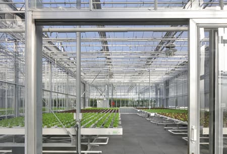Rooftop Greenhouse Agrotopia
